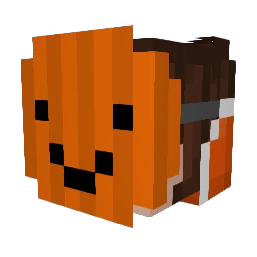_KillerNugget Minecraft avatar head, 3D render