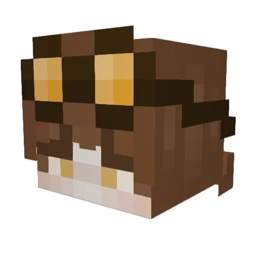 _King_Arson_ Minecraft avatar head, 3D render