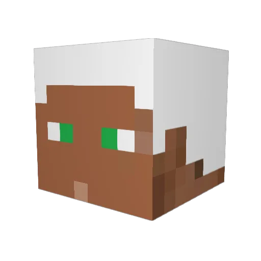 _Kirei_ Minecraft avatar head, 3D render