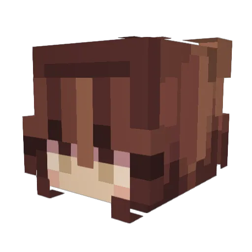 _Kitsunei_ Minecraft avatar head, 3D render