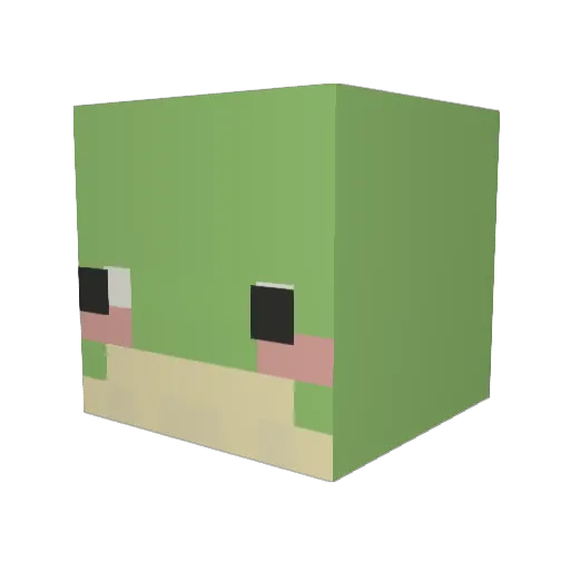 _Kiwimannn Minecraft avatar head, 3D render