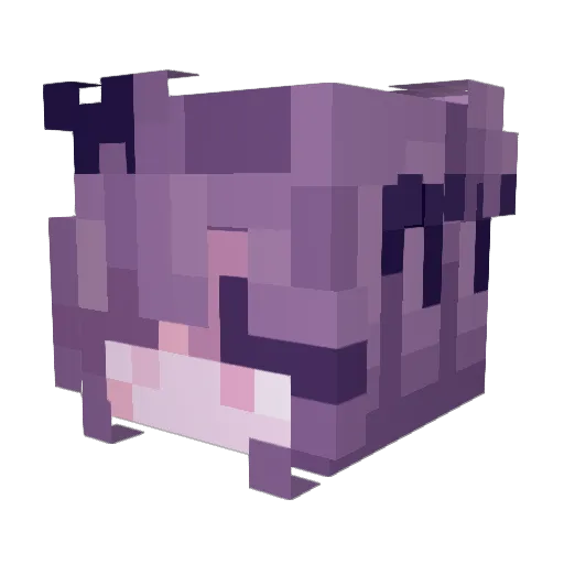_Klozecior_ Minecraft avatar head, 3D render