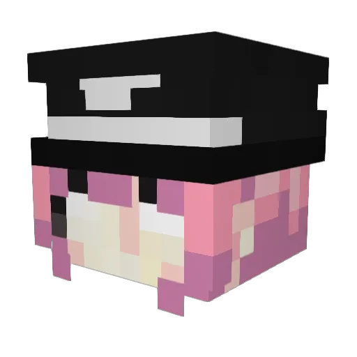 _KnightSalt_ Minecraft avatar head, 3D render