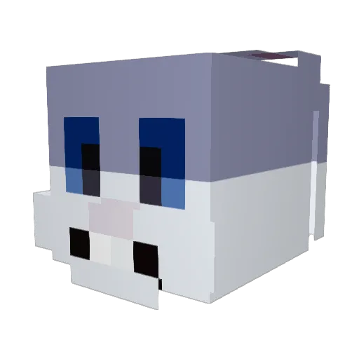 _Knotts_ Minecraft avatar head, 3D render