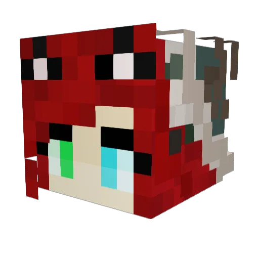 _Konfused_Kitty_ Minecraft avatar head, 3D render