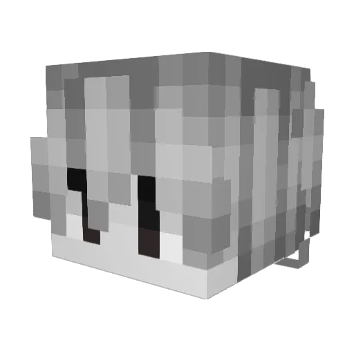 _KooTz Minecraft avatar head, 3D render