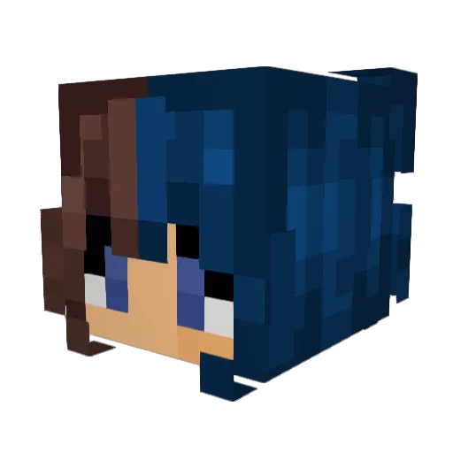 _Korgo Minecraft avatar head, 3D render