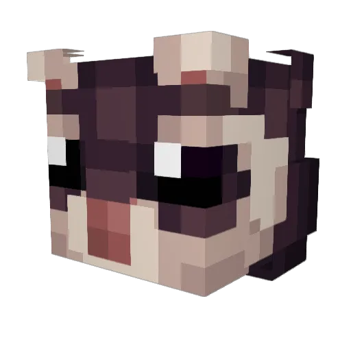_Kosetsu Minecraft avatar head, 3D render