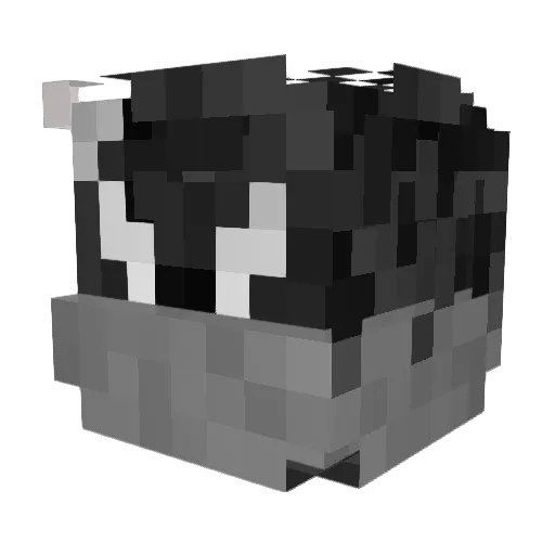_Kosh Minecraft avatar head, 3D render