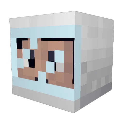 _Krayn Minecraft avatar head, 3D render