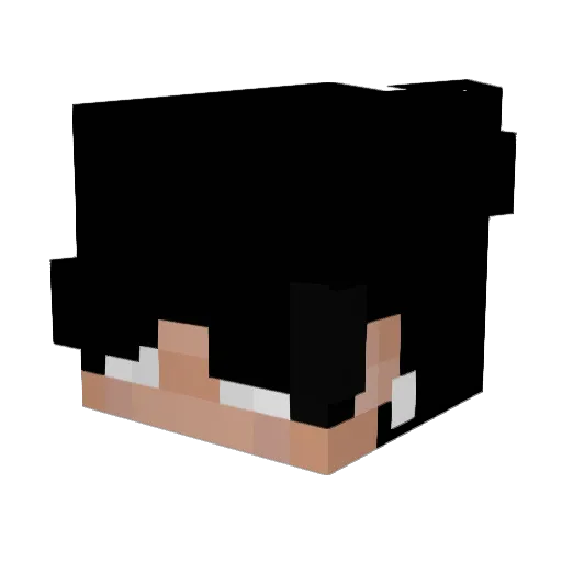 _Krzx981_ Minecraft avatar head, 3D render