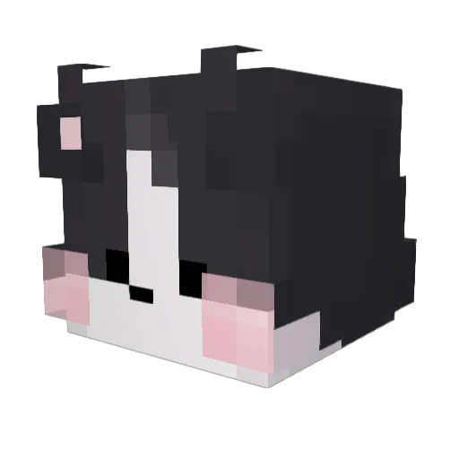 _Kuchi Minecraft avatar head, 3D render