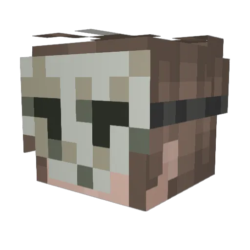 _KuerbisKrieger_ Minecraft avatar head, 3D render