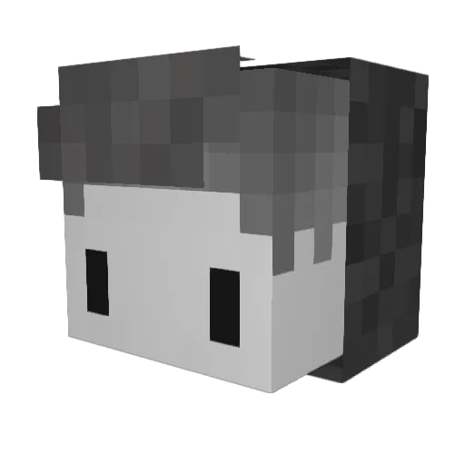 _Kusuri Minecraft avatar head, 3D render