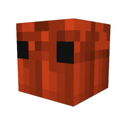 _L3ichtsinnig_ Minecraft avatar head, 3D render
