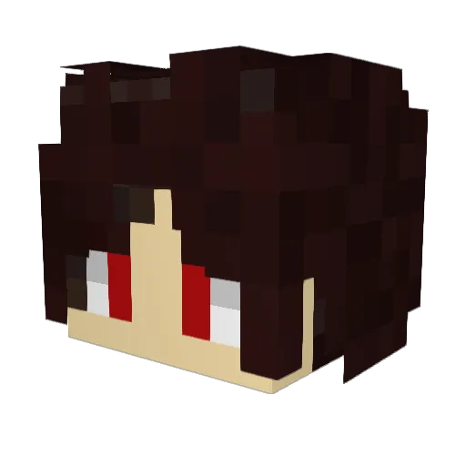 _LCY_ Minecraft avatar head, 3D render