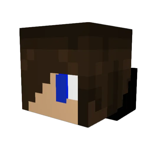 _LE1F_ Minecraft avatar head, 3D render