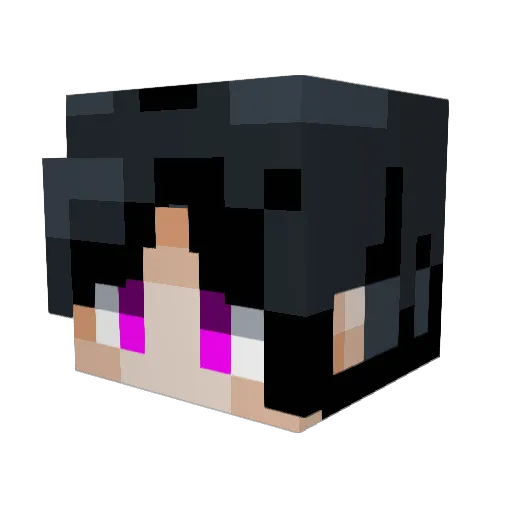 _LEOHMELECH_ Minecraft avatar head, 3D render
