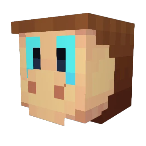_LGR_ Minecraft avatar head, 3D render