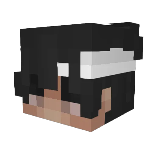 _LOuwy Minecraft avatar head, 3D render