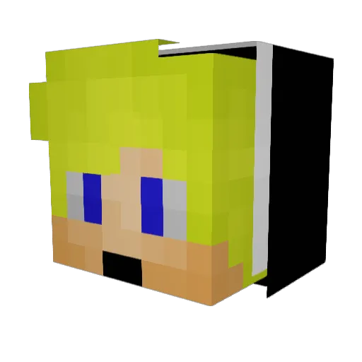 _LP15_ Minecraft avatar head, 3D render