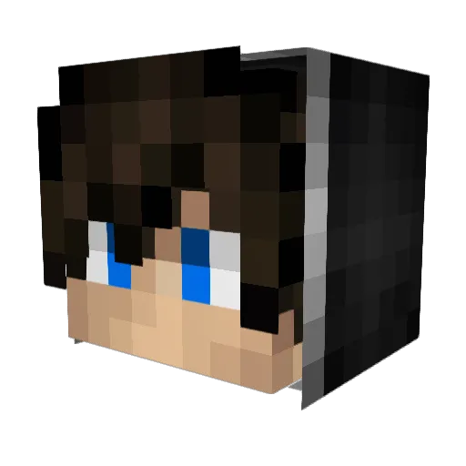_LRJ Minecraft avatar head, 3D render