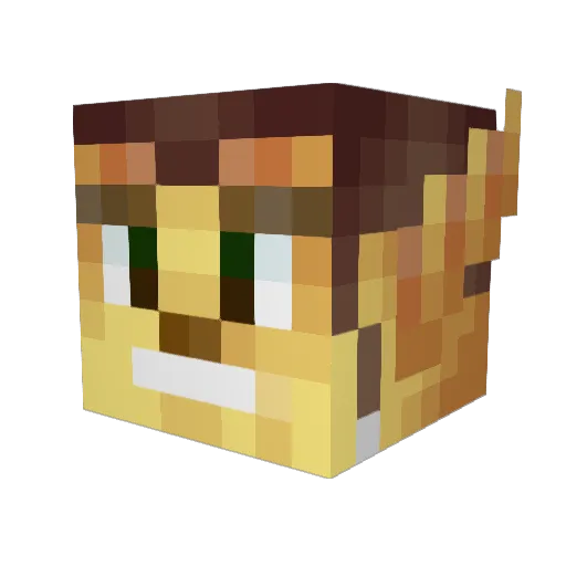 _LaLLe_ Minecraft avatar head, 3D render