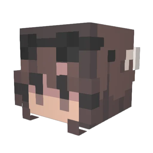 _LaNae_ Minecraft avatar head, 3D render