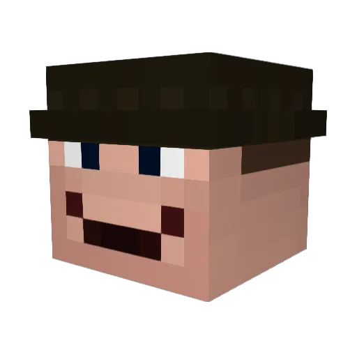 _Lanti_ Minecraft avatar head, 3D render