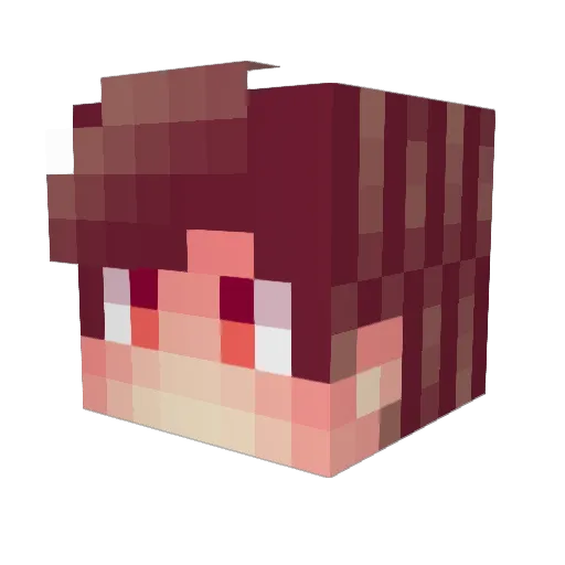 _Laron Minecraft avatar head, 3D render