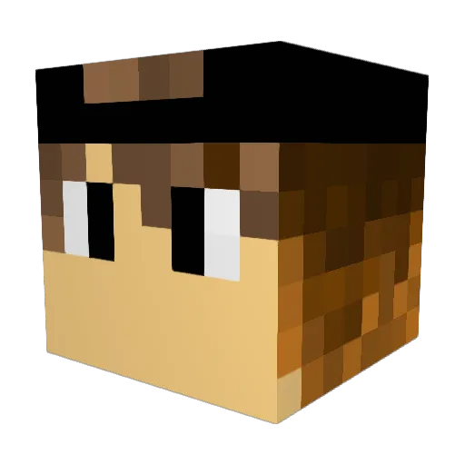 _LauG_ Minecraft avatar head, 3D render