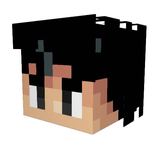 _Laxfilet_ Minecraft avatar head, 3D render