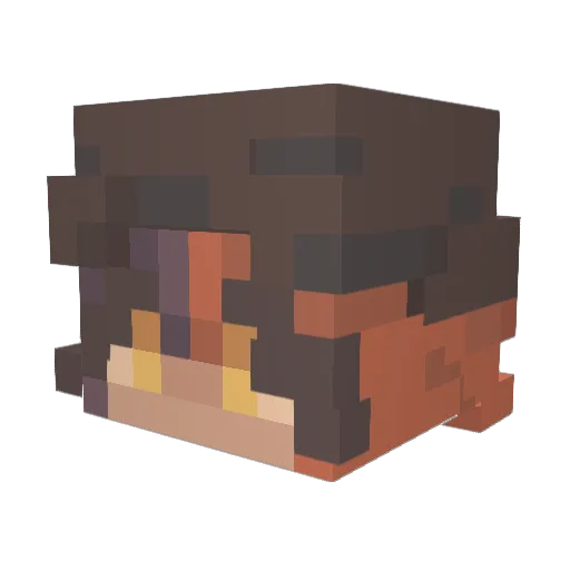 _Lepi_ Minecraft avatar head, 3D render