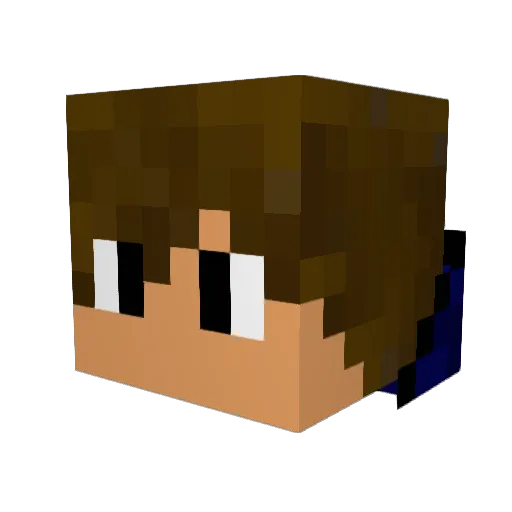 _Lerflip_ Minecraft avatar head, 3D render