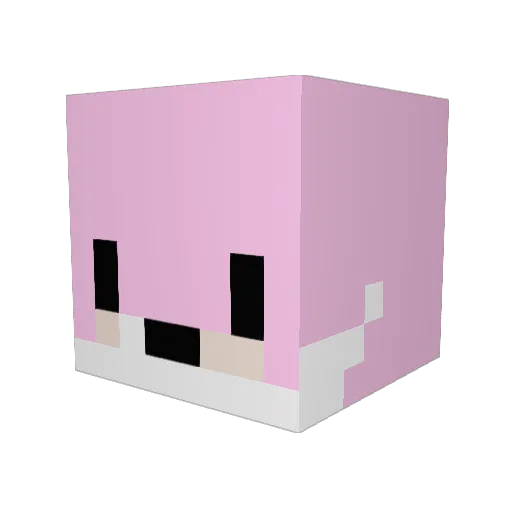 _Levy Minecraft avatar head, 3D render