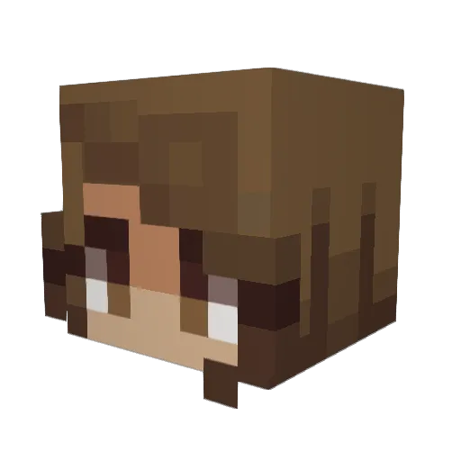 _Lexicon Minecraft avatar head, 3D render