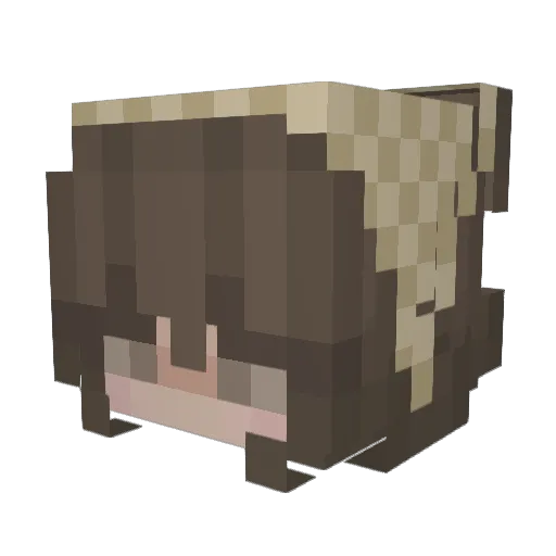 _Li_06_ Minecraft avatar head, 3D render