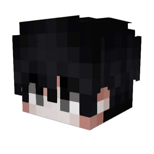 _Libao_ Minecraft avatar head, 3D render