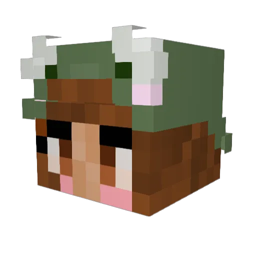 _LilHousePlant_ Minecraft avatar head, 3D render