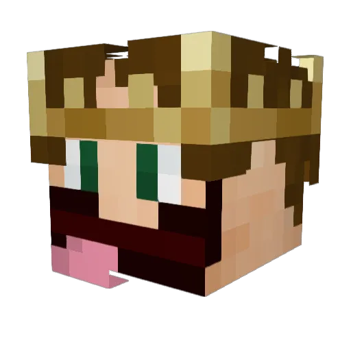 _LilNugget_ Minecraft avatar head, 3D render