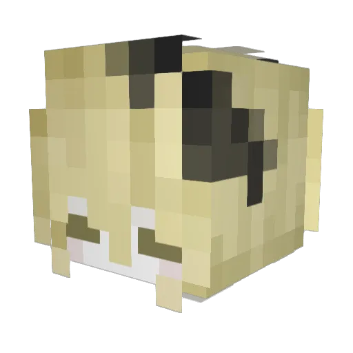 _Linn Minecraft avatar head, 3D render