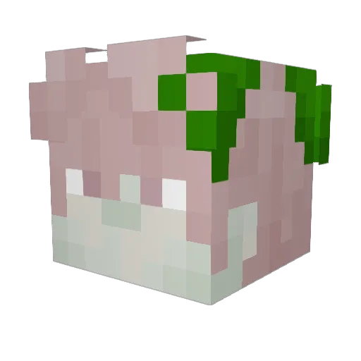 _Litenn_ Minecraft avatar head, 3D render
