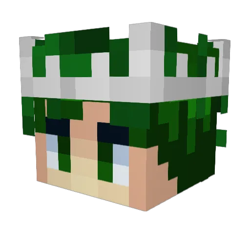 _Liwx_ Minecraft avatar head, 3D render