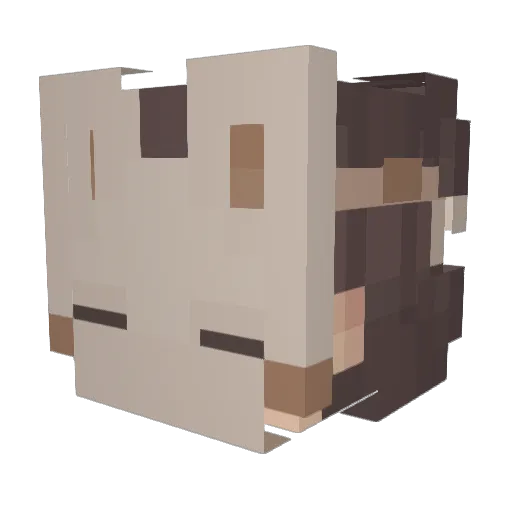 _Llelle_ Minecraft avatar head, 3D render