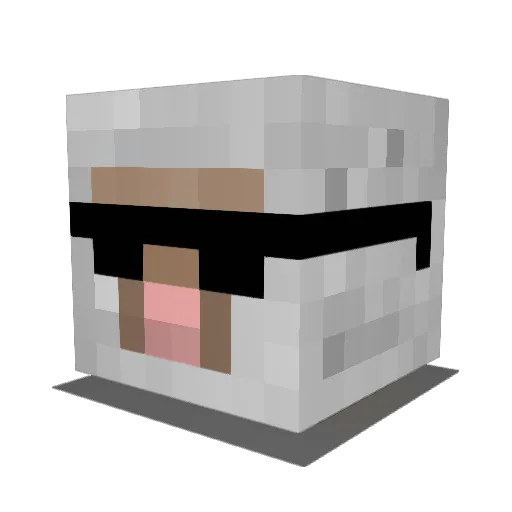 _LogantheBogan_ Minecraft avatar head, 3D render