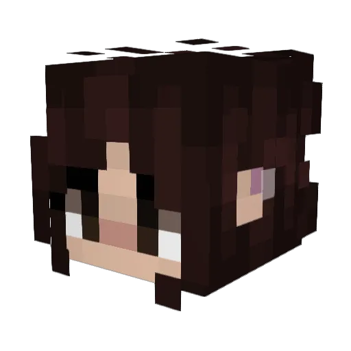 _Lokia_ Minecraft avatar head, 3D render