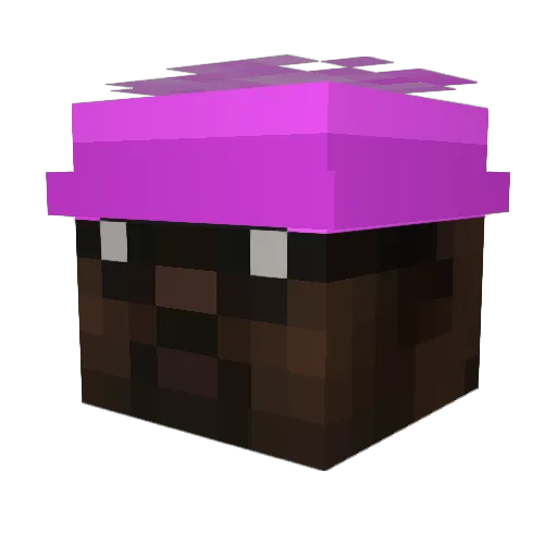 _Loni Minecraft avatar head, 3D render