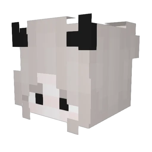 _LooBlaster Minecraft avatar head, 3D render