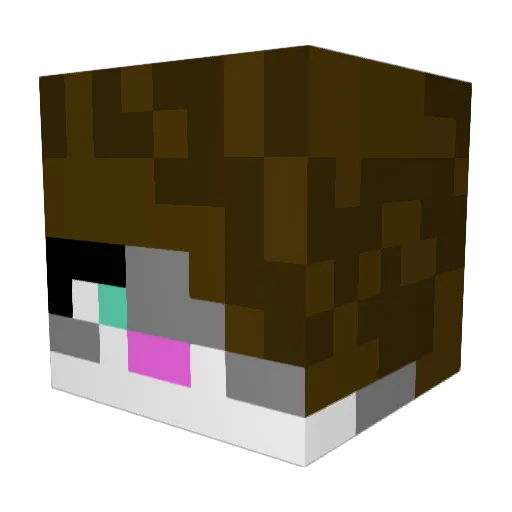 _LordBean_ Minecraft avatar head, 3D render