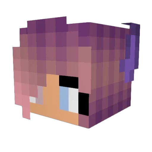 _LovelyPup_ Minecraft avatar head, 3D render